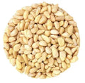 Pine Nuts Pignolias: 27.5LB Case