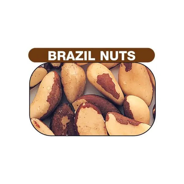 Brazil Nuts Unblanched Medium: 11LB Bag